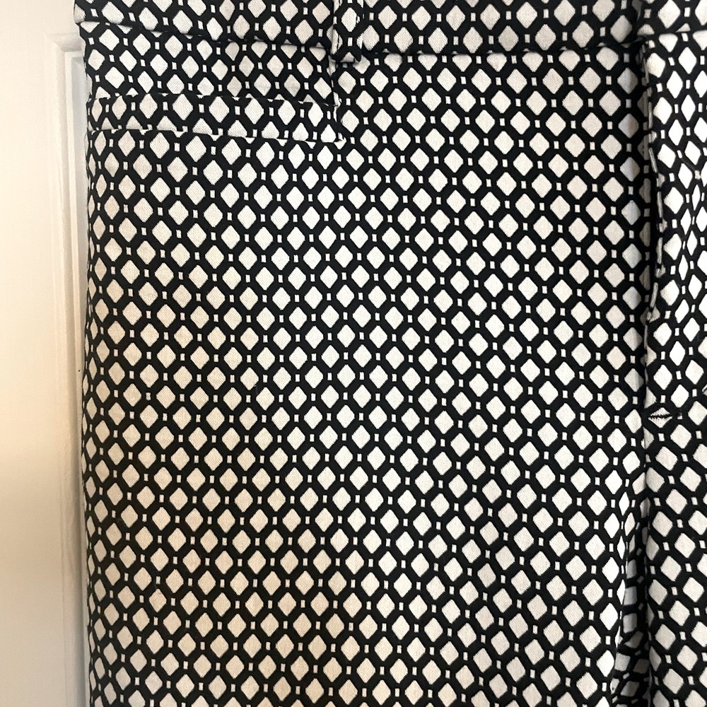 Banana Republic Sloan‎ Crop Pants 8 Petite - Picture 2 of 4